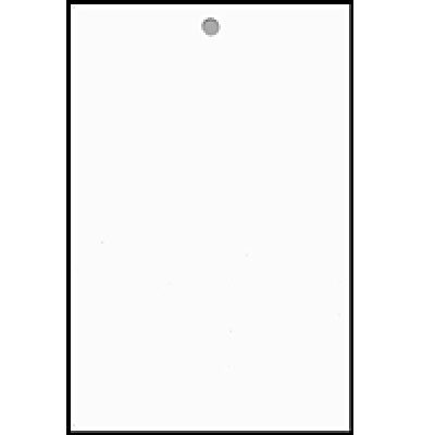 WD resize Leneta Form WD Plain White Chart